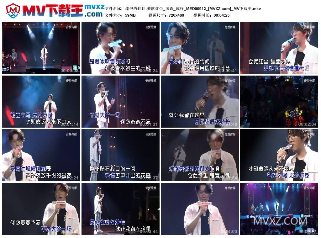 流浪的蛙蛙-婺落红尘_国语_流行_MED00912